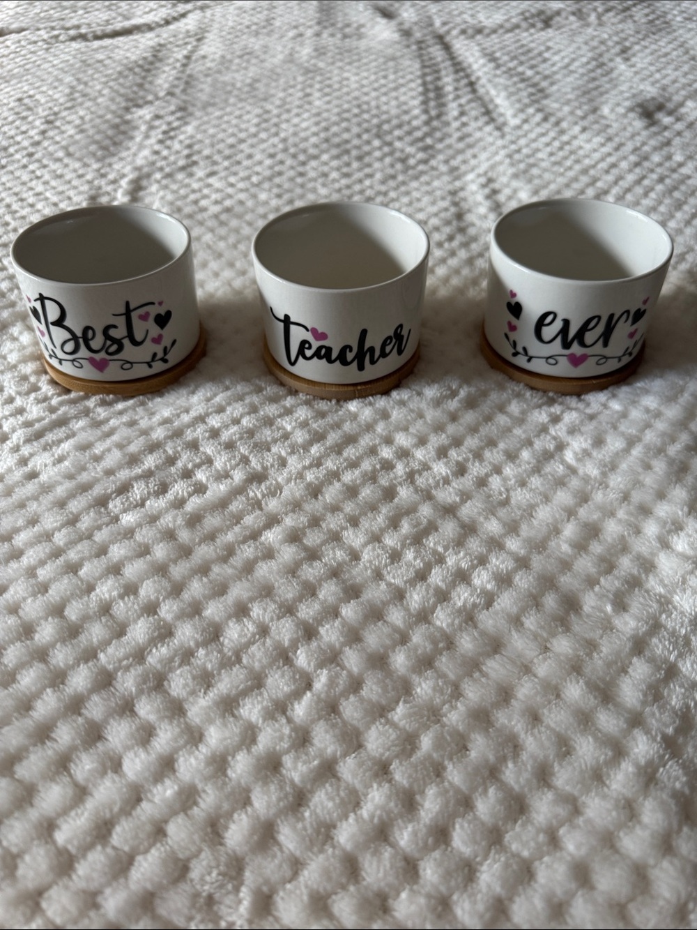 🌱 “Best Teacher Ever” Ceramic Planter Set – 3-Piece